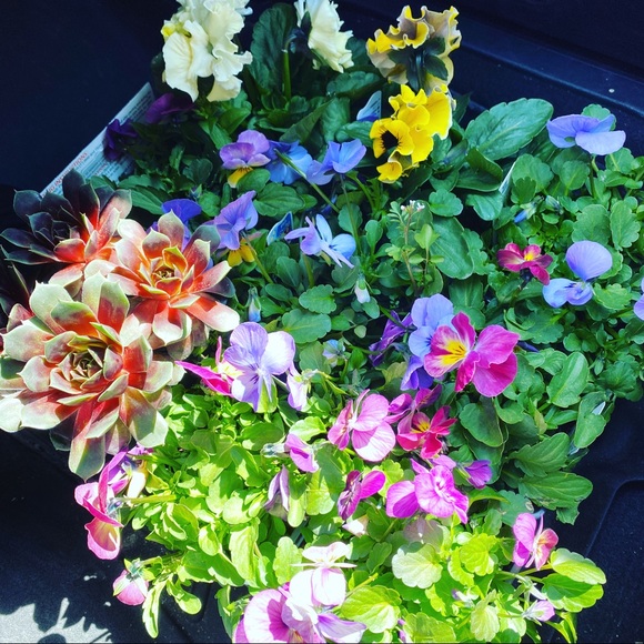 Meet your Posher, Karen - Picture 5 of 8